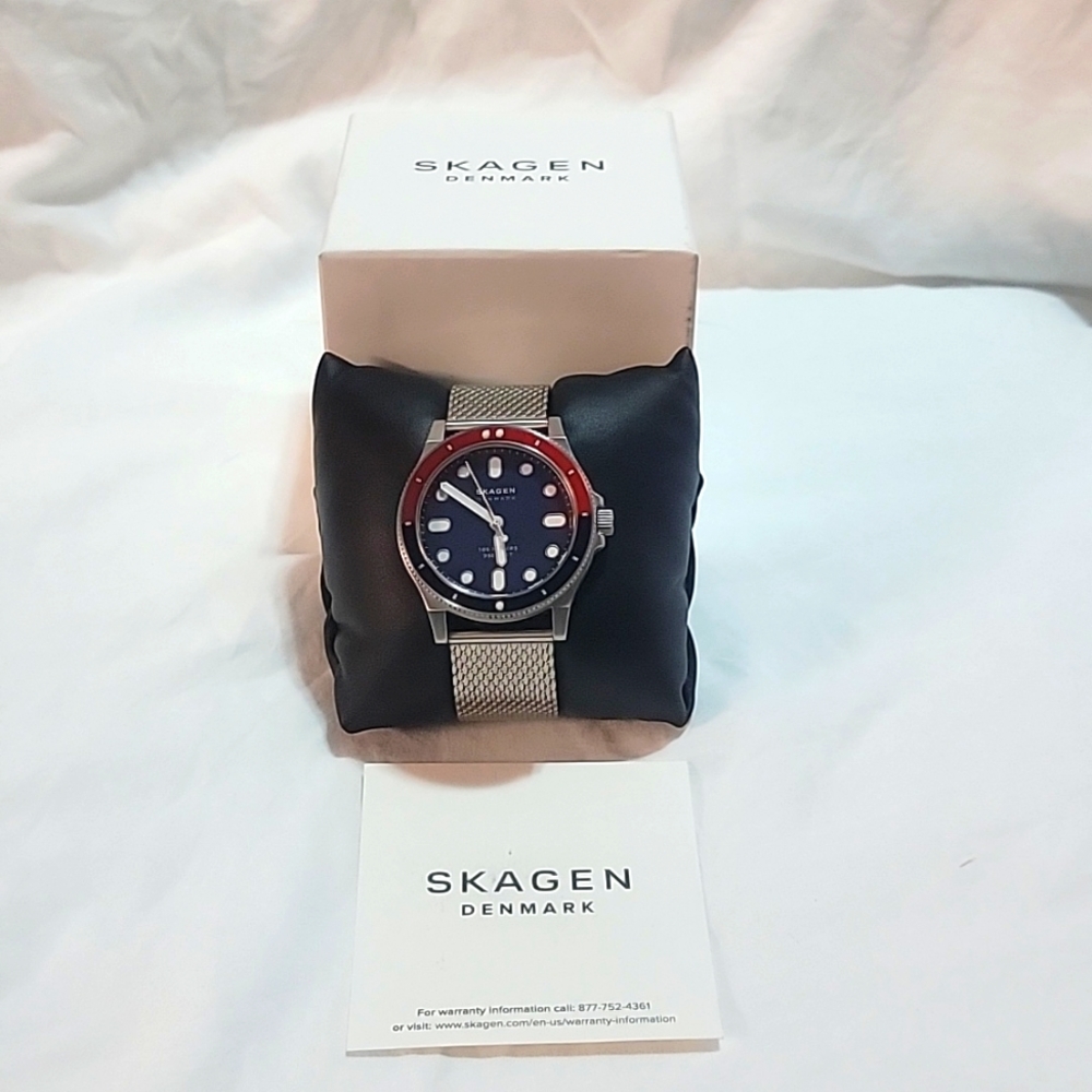 Skagen Denmark Men's Silver watch